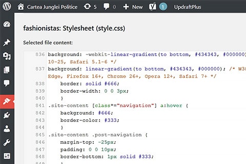 personalizare CSS pentru tema WordPress optimizata vizual si functional